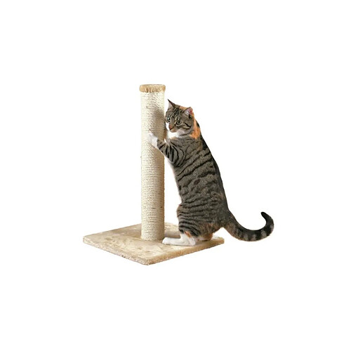 TRIXIE Parla Arbre a chat Hauteur 62 cm beige peluche et sisal naturel