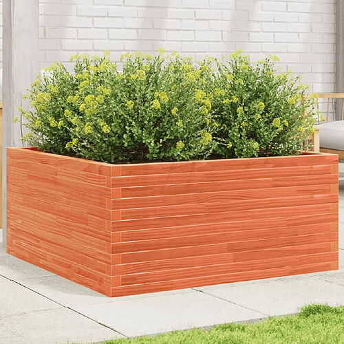 vidaXL Jardinière cire marron 100x100x46 cm bois de pin massif