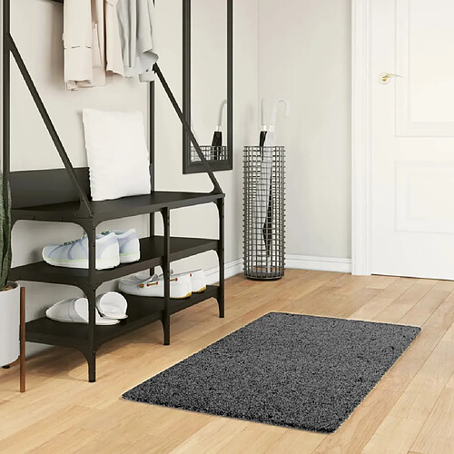 vidaXL Tapis OVIEDO à poils courts anthracite 60x110 cm