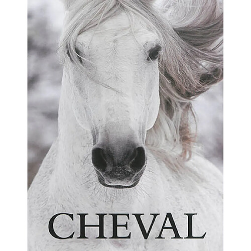 Cheval · Occasion