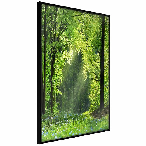 Paris Prix Affiche Murale Encadrée Forest Path 20 x 30 cm Noir