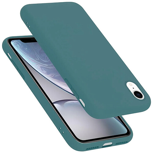 Cadorabo Coque iPhone XR Etui en Vert