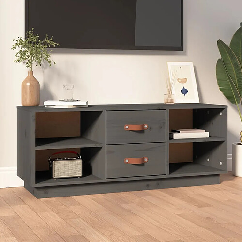 Maison Chic Meuble TV scandinave - Banc TV pour salon Gris 100x34x40 cm Bois de pin massif -MN28029