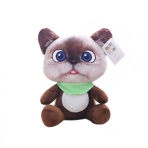 Universal 20cm Mini peluche mignonne jouet pour chat peluche animal peluche dessin animé chat poupée jouet enfant jouet fille cadeau | Peluche (marron)