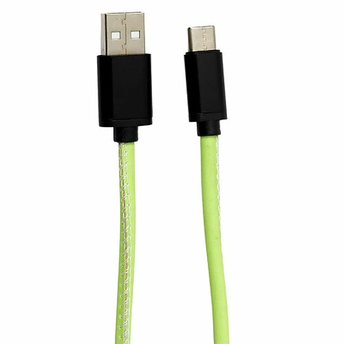 Paris Prix Câble USB Type C Phosphorescent 200cm Vert