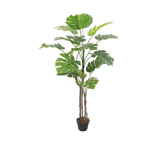 Mobili Rebecca Plante artificielle Monstera Rebecca Mobili Merah 155x50x50 PEVA Polyéthylène Vert Marron