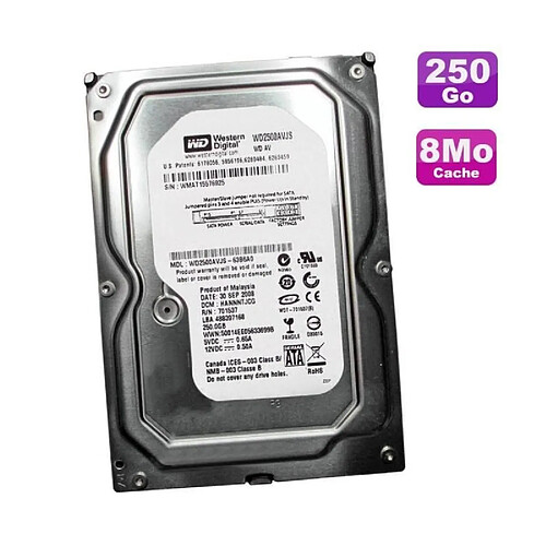 WESTERN DIGITAL 250 GO · Reconditionné