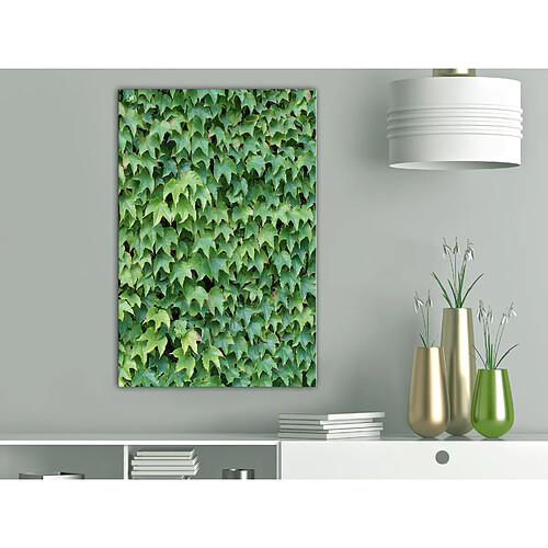 Artgeist Tableau - Thick Ivy (1 Part) Vertical [80x120]