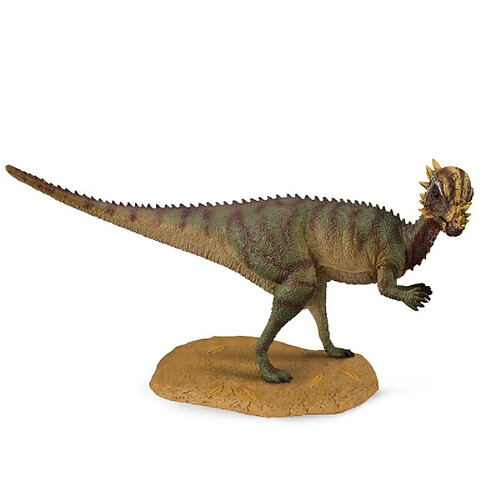 Figurines Collecta Figurine Dinosaure : Pachycepphalosaurus