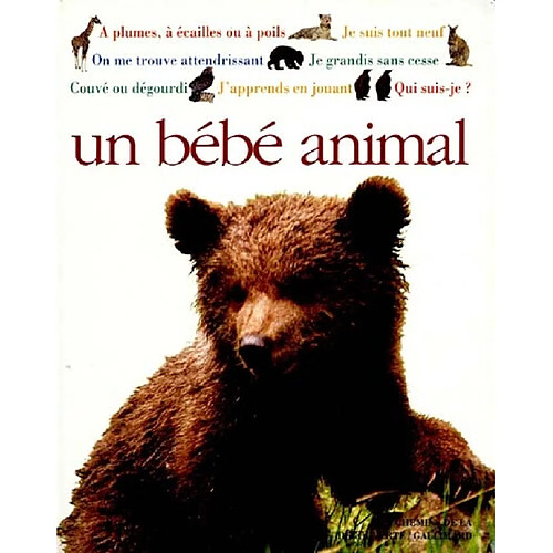 Un Bébé animal · Occasion