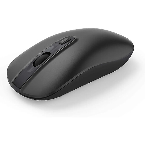 Universal Souris d'ordinateur sans fil, souris sans fil mince 2,4 g avec un faible bruit pour l'ordinateur portable