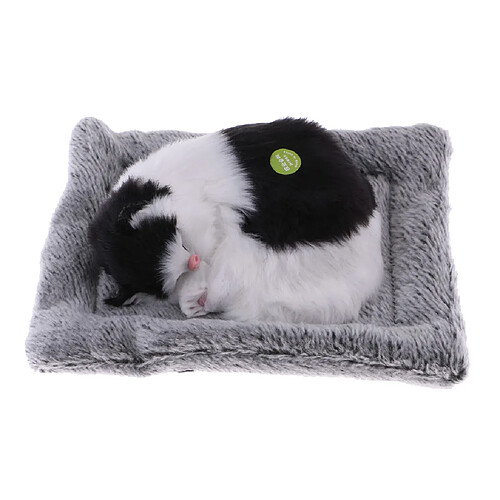 dormir chaton chat peluche en peluche animal de compagnie jouets à sonnettes décor à la maison noir blanc