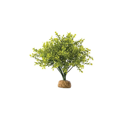 Exo Terra Exo-terra Buisson De Buis - Pour Reptile Ou Amphibien