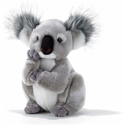 Plush & Company - 15747 - Peluche - Kolette Koala - 28 cm