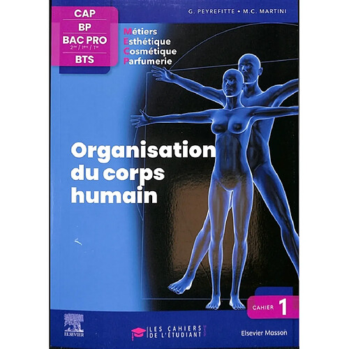 Organisation du corps humain : CAP, BP, bac pro 2de, 1re, terminale, BTS métiers esthétique, cosmétique, parfumerie