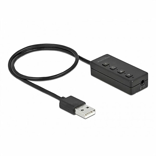 Adaptateur USB DELOCK 66731 USB 2.0