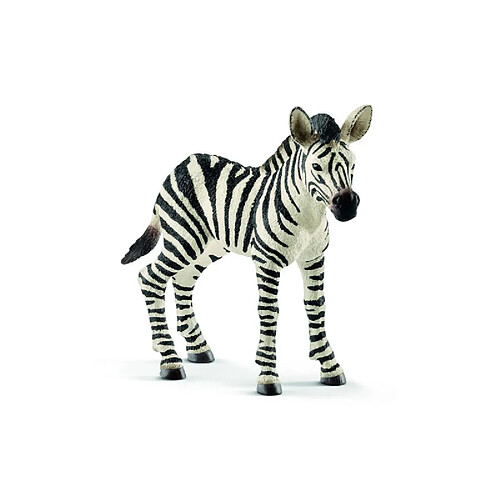 Schleich Zebra Young