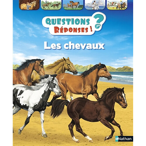 Les chevaux · Occasion