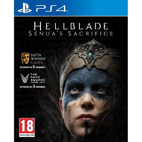 505 Games Hellblade Senua'S Sacrifice Jeu PS4