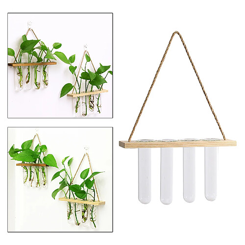 Verre Suspendu Planteur Terrarium Plantes En Bois Cintre Tube À Essai Vase Naturel