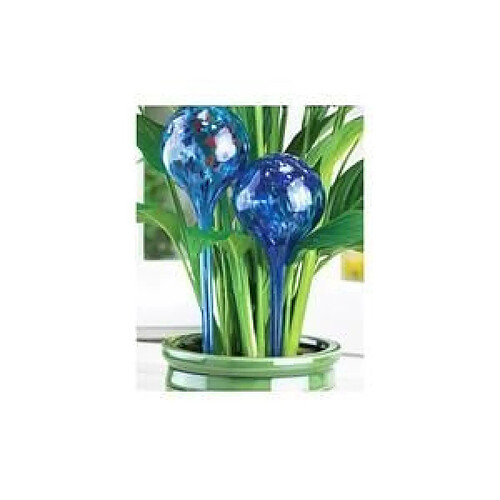 Tsc Globes d arrosage en verre