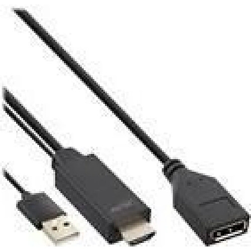 INLINE HDMI M to DisplayPort F Converter Cable - Videokabel - HDMI, USB (nur Strom) männlich zu DisplayPort weiblich - 30 cm - Schwarz - 4K Unterstützung, aktiv