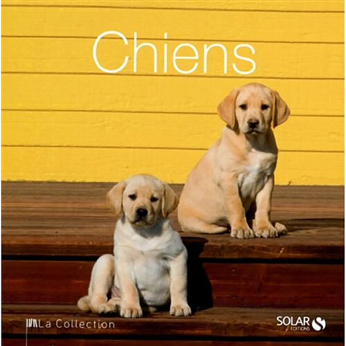 Chiens · Occasion