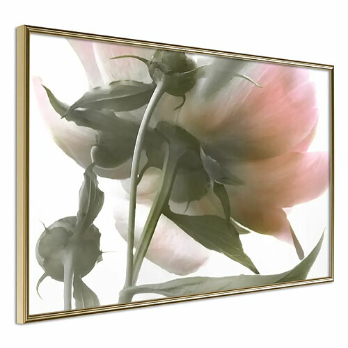 Paris Prix Affiche Murale Encadrée Under the Flower 90 x 60 cm Or