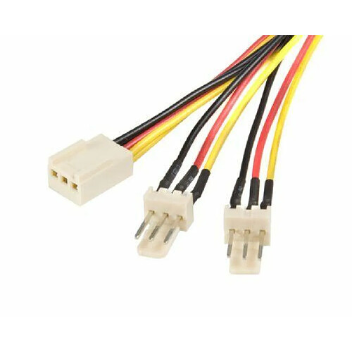 StarTech.com Câble / Cordon d'alimentation en Y pour ventilateur Molex de 30 cm - Câble répartiteur / splitter 1x TX3 (F) vers 2x TX3 (M)