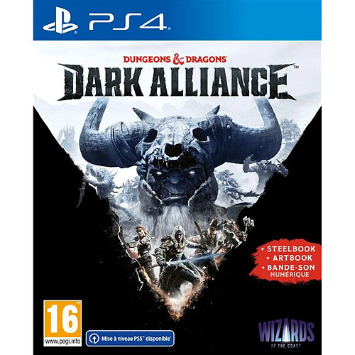 Deep Silver Dungeons et Dragons Dark Alliance Steelbook Edition PS4