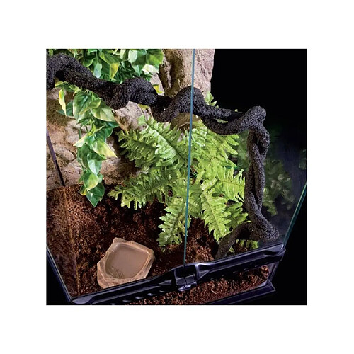 EXO TERRA Terrarium foret pluviale équipé M - Pour reptile ou amphibien