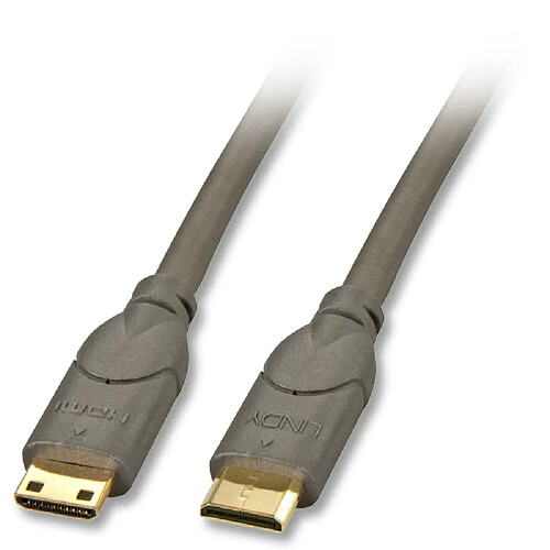 Lindy 0.5m HDMI CAT2 câble HDMI 0,5 m HDMI Type C (Mini) Noir