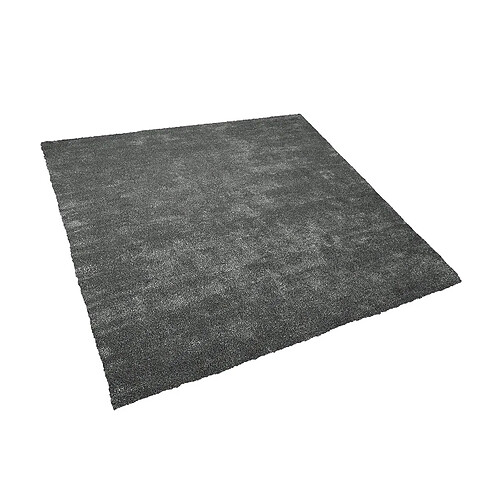 Beliani Tapis épais 200 x 200 cm gris foncé DEMRE