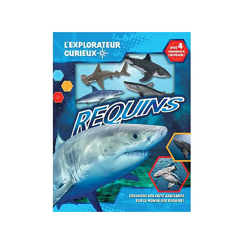 LE MONDE DES REQUINS LE PETIT EXPLORATEUR