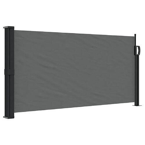 Maison Chic Auvent latéral rétractable | Store latéral | Brise-vue latéral anthracite 100x300 cm -GKD47939