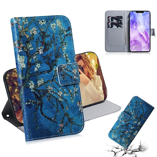 Wewoo Housse Coque Abricot Fleur Motif Coloré Dessin Horizontal Flip Étui en cuir pour Huawei Nova 3avec support et fentes cartes et portefeuille