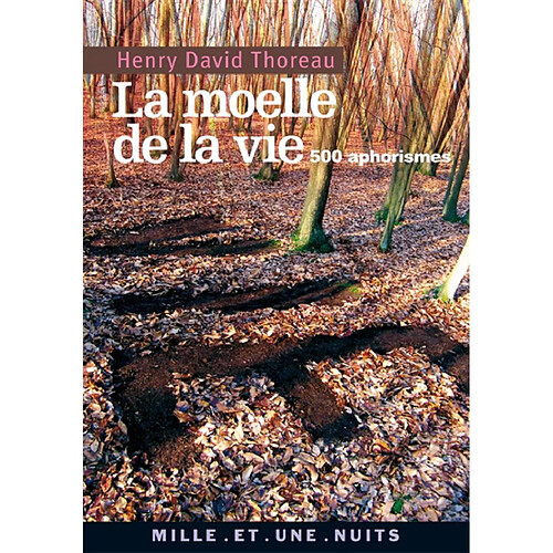 La moelle de la vie : 500 aphorismes · Occasion