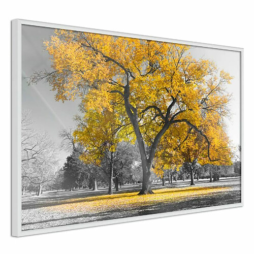 Paris Prix Affiche Murale Encadrée Golden Tree 30 x 20 cm Blanc