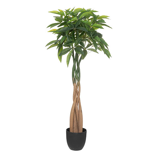 Atmosphera, Createur D'Interieur Arbre pachira artificiel Bota H110 cm - ATMOSPHERA