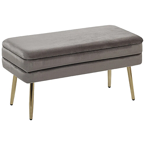 Beliani Banc DURHAM Gris Velours