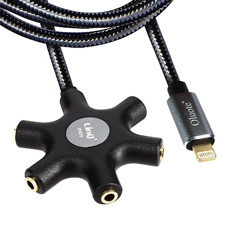 Câble audio Lightning vers 5 prises Jack 3.5mm Son de qualité Longueur 1,5m LinQ