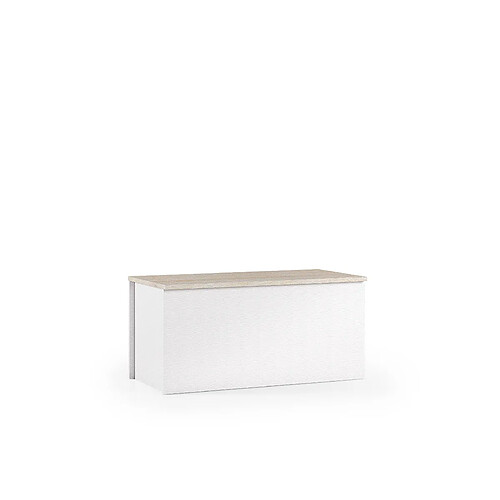 Alter Malle polyvalente, 100% Made in Italy, Grande boÃ®te de rangement, Coffre moderne, 90x45h45 cm, Couleur Blanc et ChÃªne