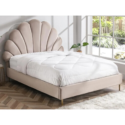 Vente-Unique Lit coquillage 160 x 200 cm - Velours - Beige + Matelas - LIVAYA