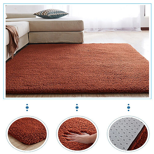 LUUCOZK Tapis moelleux en fausse fourrure Tapis à poils longs pour chambre à coucher Salon-Café-100x160 cm