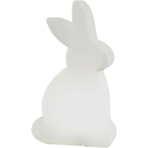 Lapin lumineux blanc changement couleur LED