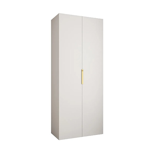 Abiks Meble Armoire à portes battantes Como 4 245,5/100/40 2 portes (blanc/doré)