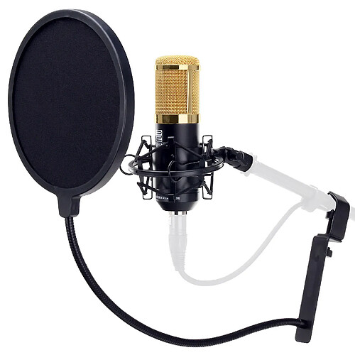 Pronomic CM-100BG microphone de studio à grande membrane & filtre anti-pop