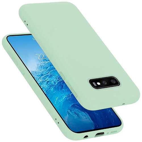 Cadorabo Coque Samsung Galaxy S10e Etui en Vert