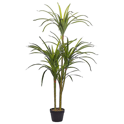 Beliani Plante artificielle DRACAENA ANITA 147 cm