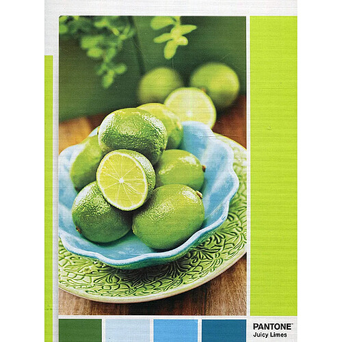 Clementoni- Pantone Collection-Lime Punch-1000 pièces, 39492, Multicolore